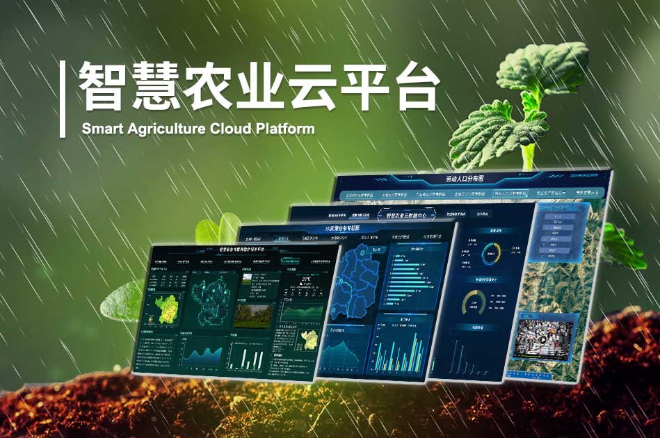 在當(dāng)今這個科技日新月異的時代，定制化智慧農(nóng)業(yè)解決方案正逐步成為推動農(nóng)業(yè)創(chuàng)新的關(guān)鍵力量。這些解決方案基于先進(jìn)的物聯(lián)網(wǎng)、大數(shù)據(jù)、人工智能等技術(shù)，針對不同地區(qū)、不同作物、不同生產(chǎn)需求的實(shí)際情況，量身定制，為農(nóng)業(yè)生產(chǎn)帶來了前所未有的變革。