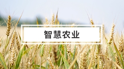 物聯(lián)網(wǎng)農(nóng)業(yè)