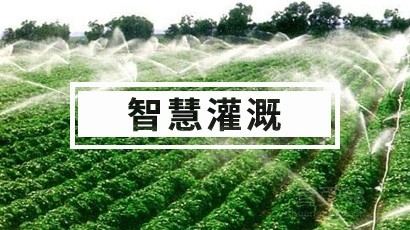 智能灌溉